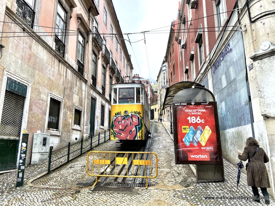 How to see Lisbon in one day