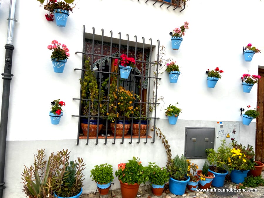 10 Best Things to do in Granada