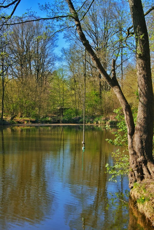 Lockdown around the world