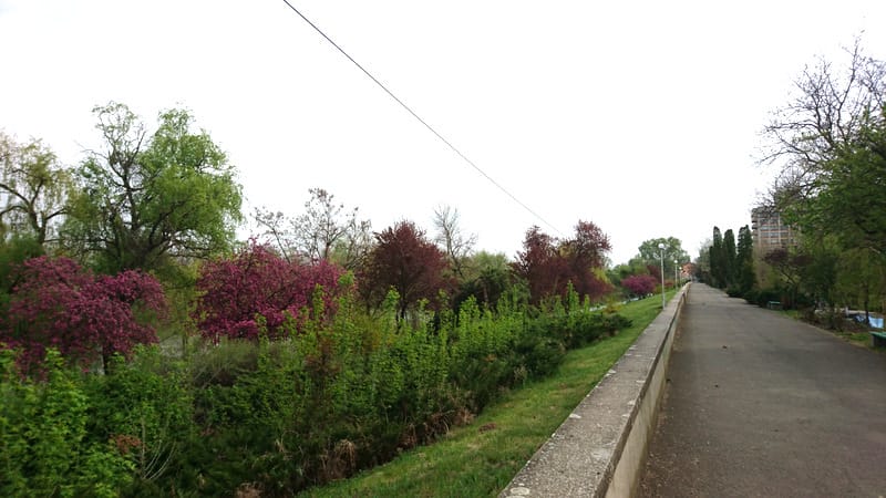 Lockdown around the world