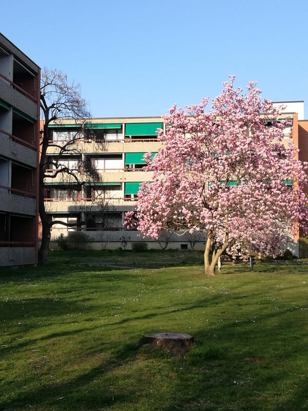 Lockdown around the world