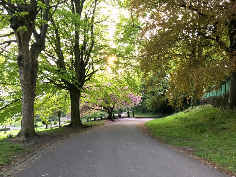 Lockdown around the world - Part 1 5 Lockdown around the world