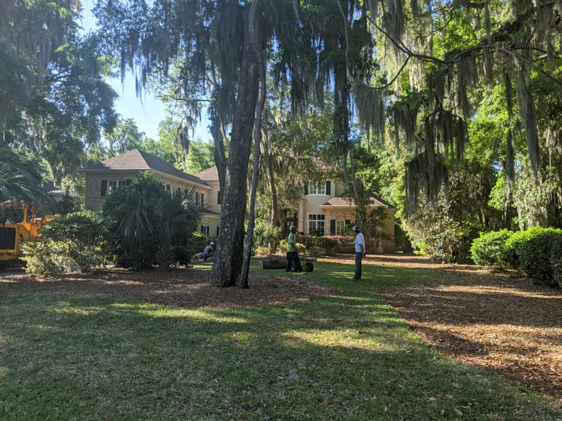 Lockdown around the world