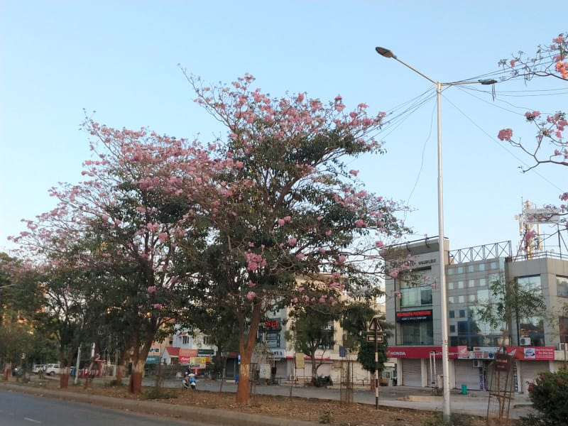 Lockdown around the world