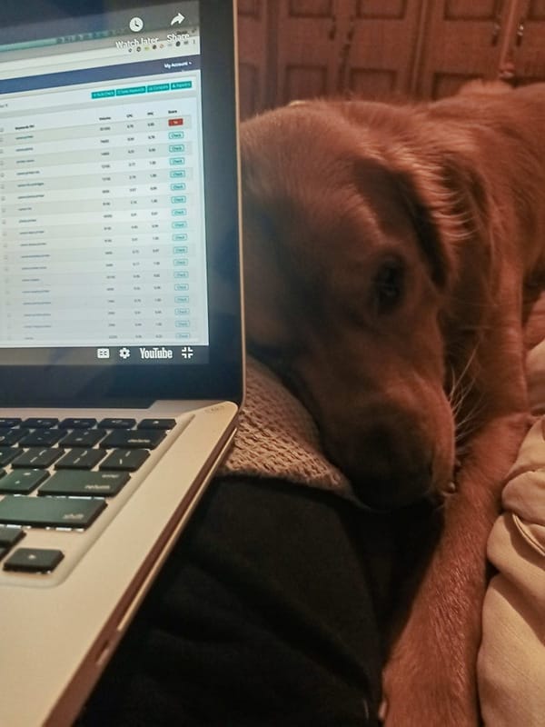 Lockdown around the world