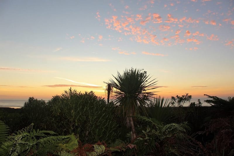 Lockdown around the world