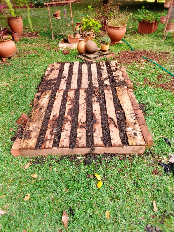 Lockdown around the world