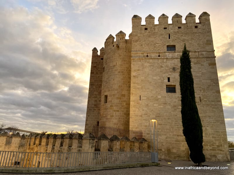 things to do in Cordoba