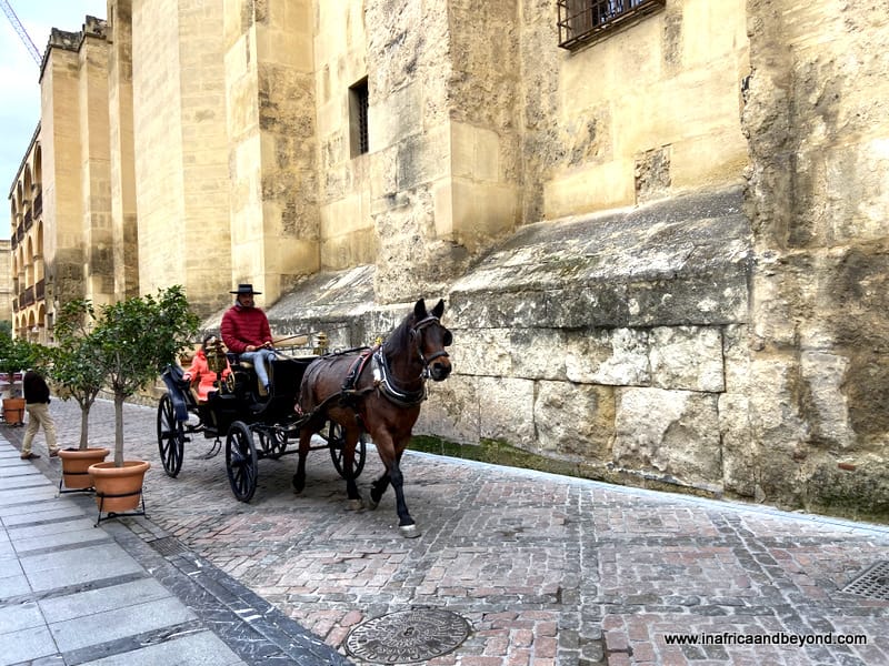 things to do in Cordoba