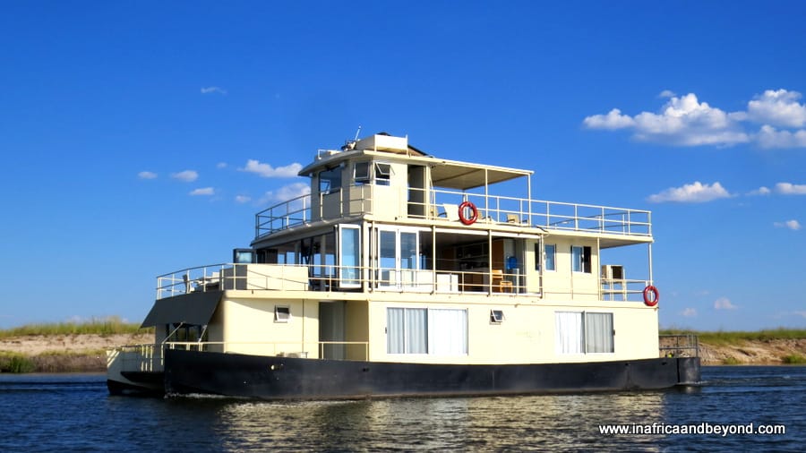 wildlife in Botswana