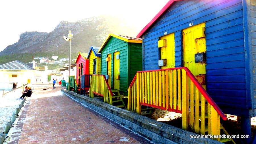 30 Photos of South Africa that will fuel your wanderlust 7 Beach huts in Muizenberg