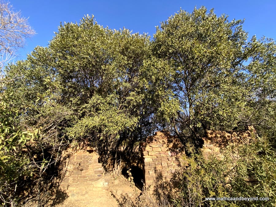 Hennops Hiking Trail & 5 interesting things to see there 7 Hennops Hiking Trails