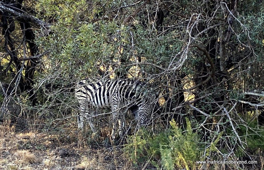 Hennops Hiking Trail & 5 interesting things to see there 5 Hennops Hiking Trails
