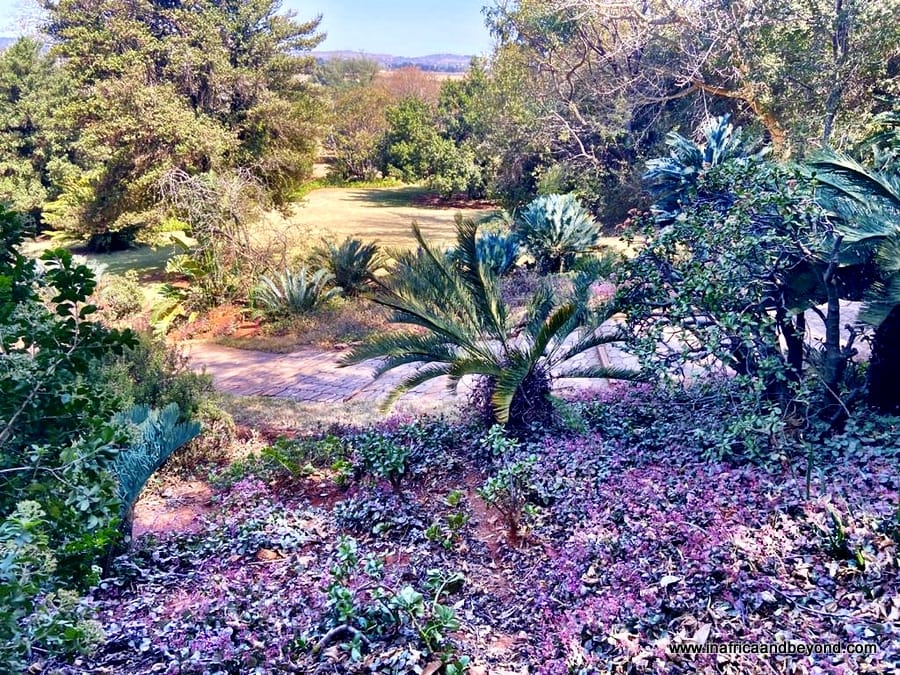 Best hikes in Johannesburg