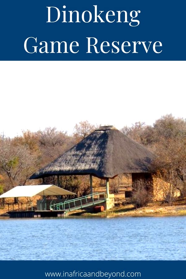 Dinokeng Game Reserve 