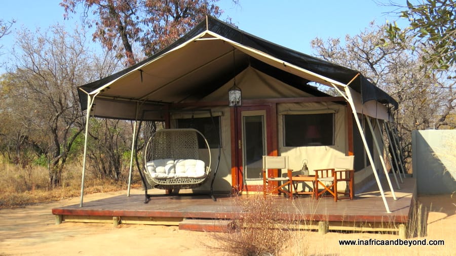 Safari Plains Review