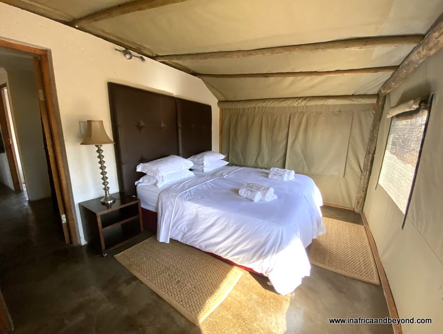 Safari Plains Review