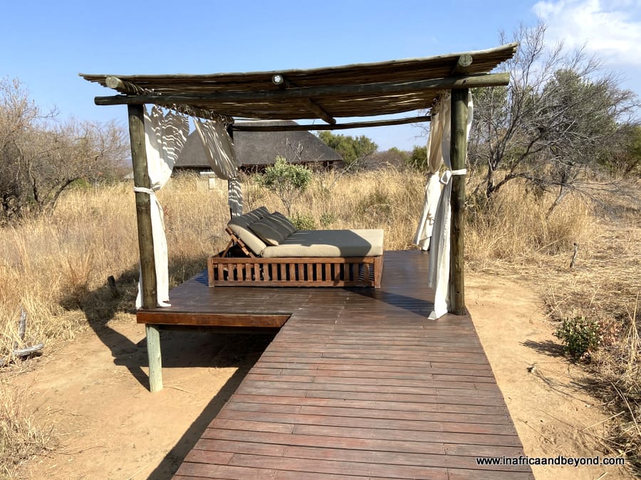 Safari Plains Review