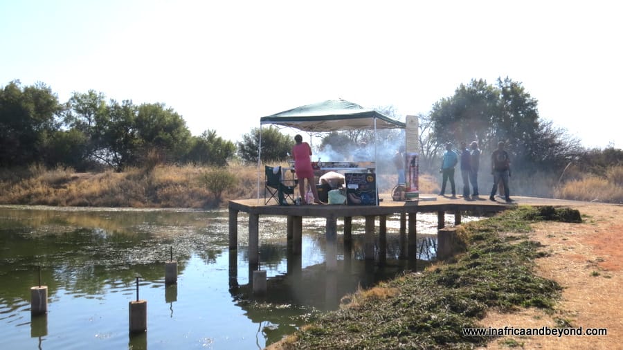 Dinokeng Game Reserve 