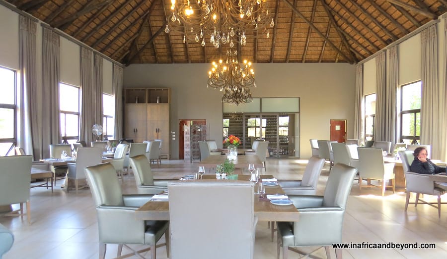 Safari Plains Review