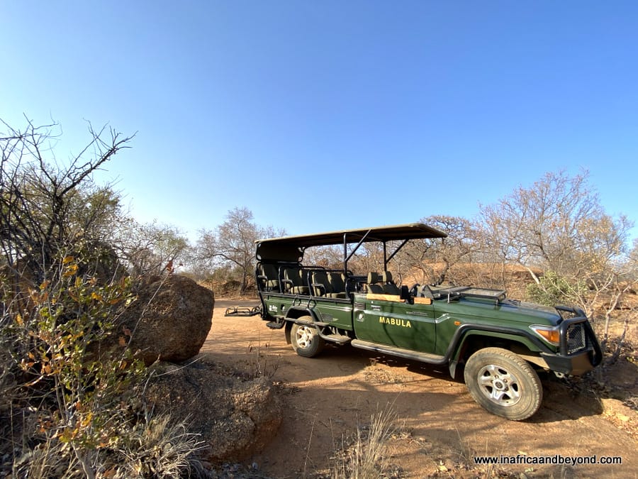 Safari Plains Review