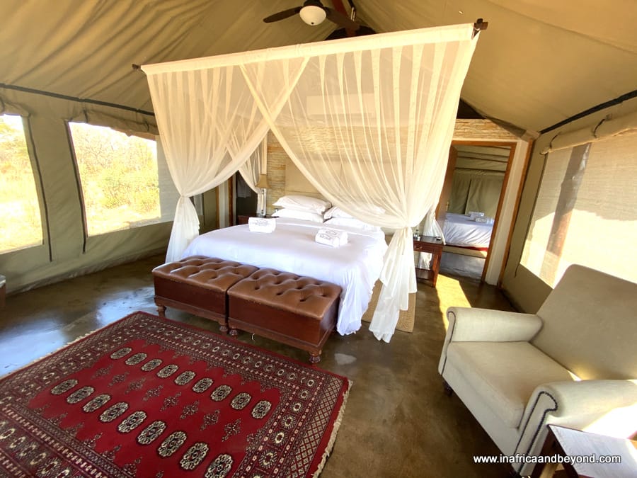 Safari Plains Review