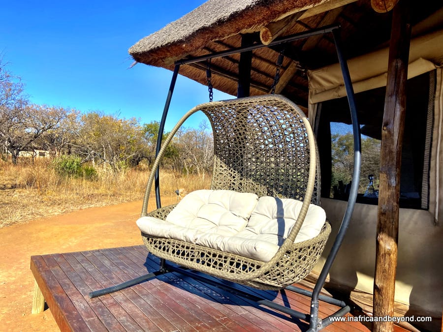 Safari Plains Review