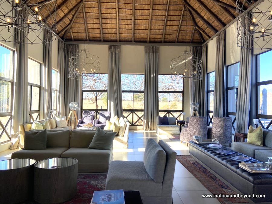 Safari Plains Review