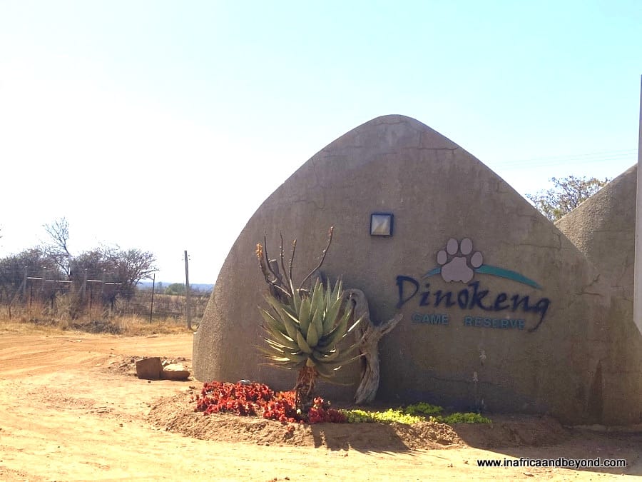 Dinokeng Game Reserve 