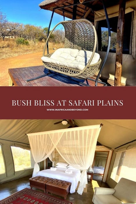 Safari Plains Mabula