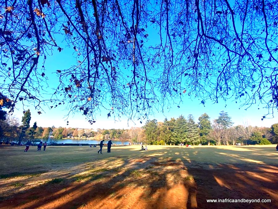 best hikes in Johannesburg