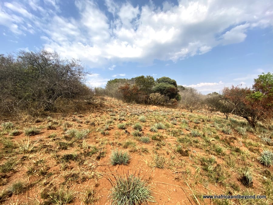 best hikes in johannesburg