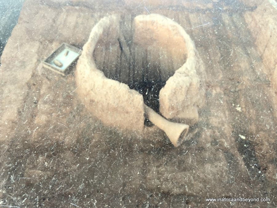  Melville Koppies Nature Reserve 