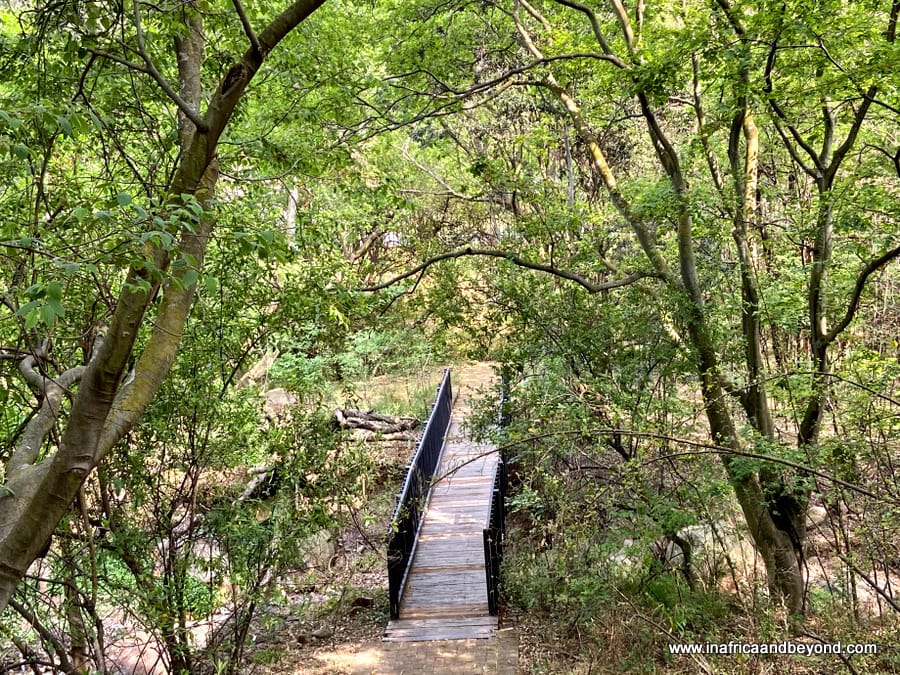  Melville Koppies Nature Reserve 