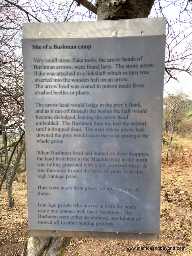  Melville Koppies Nature Reserve 