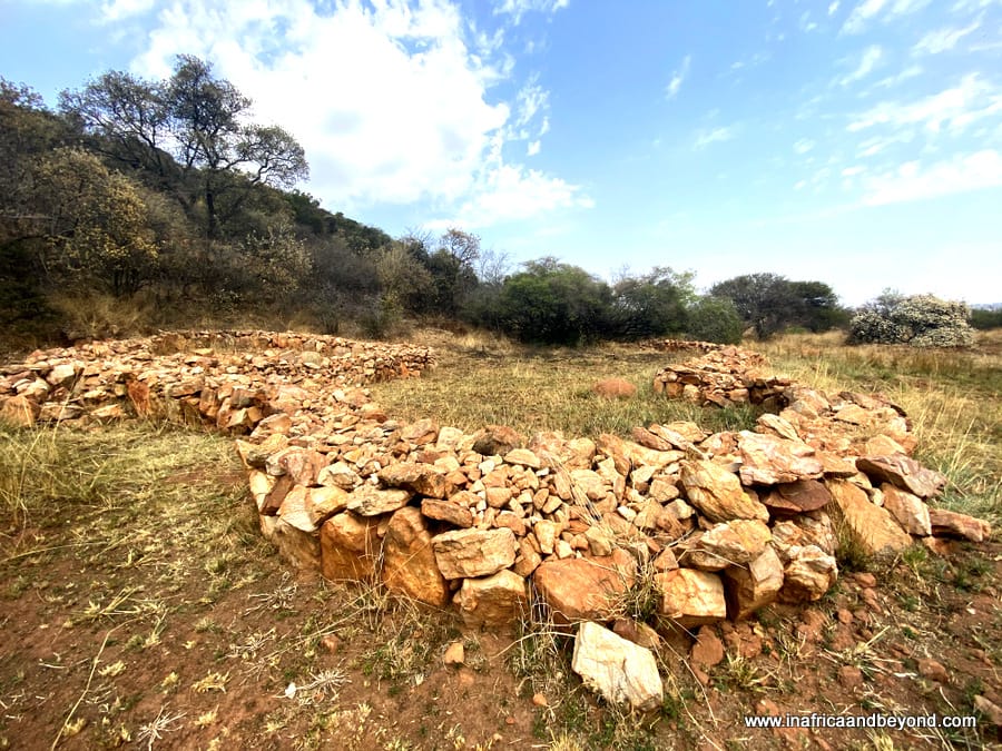  Melville Koppies Nature Reserve 