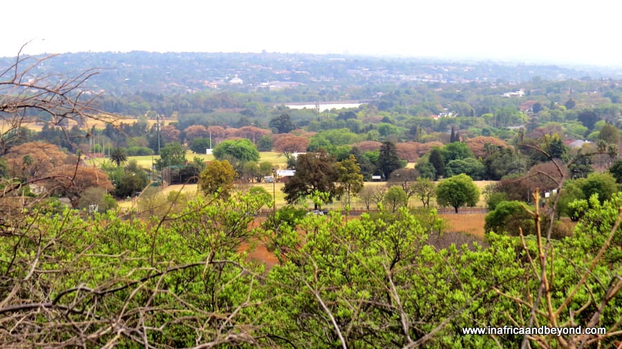Melville Koppies Nature Reserve