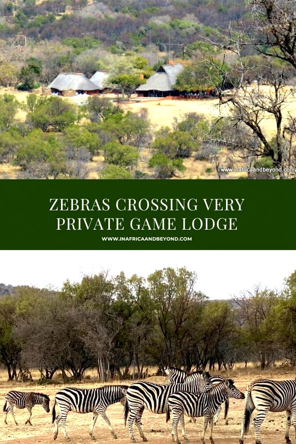 Zebras Crossing Very Private Game Lodge