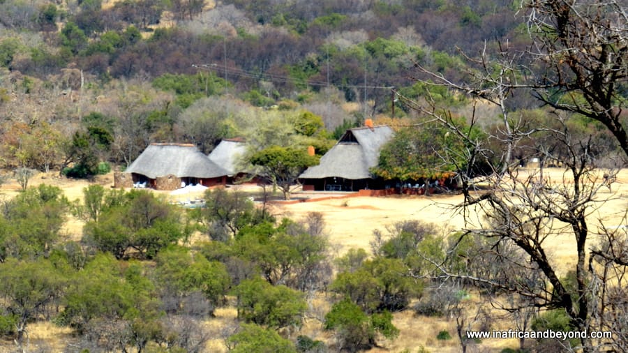 Zebras Crossing Very Private Game Lodge