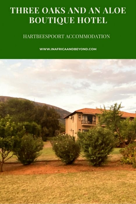 Three Oaks and an Aloe