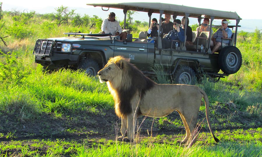 Win a 5-star safari at Tau Game Lodge