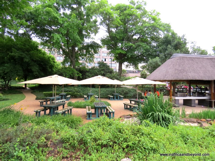 Riverside Sun Hotel - a blissful stay at the Vaal 5 Riverside Sun