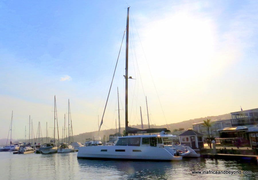 11 Unique Things to do in the Garden Route 11 Best things to do in Garden Route