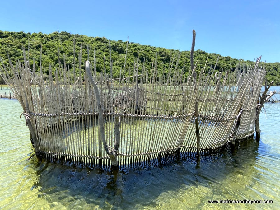 Kosi Forest Lodge -an enchanted forest hideaway 10 Kosi Bay