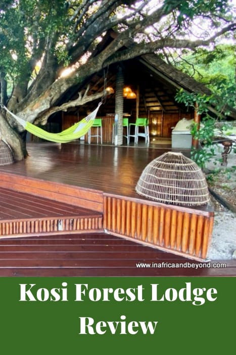 Kosi Forest Lodge -an enchanted forest hideaway 12 Kosi Forest Lodge
