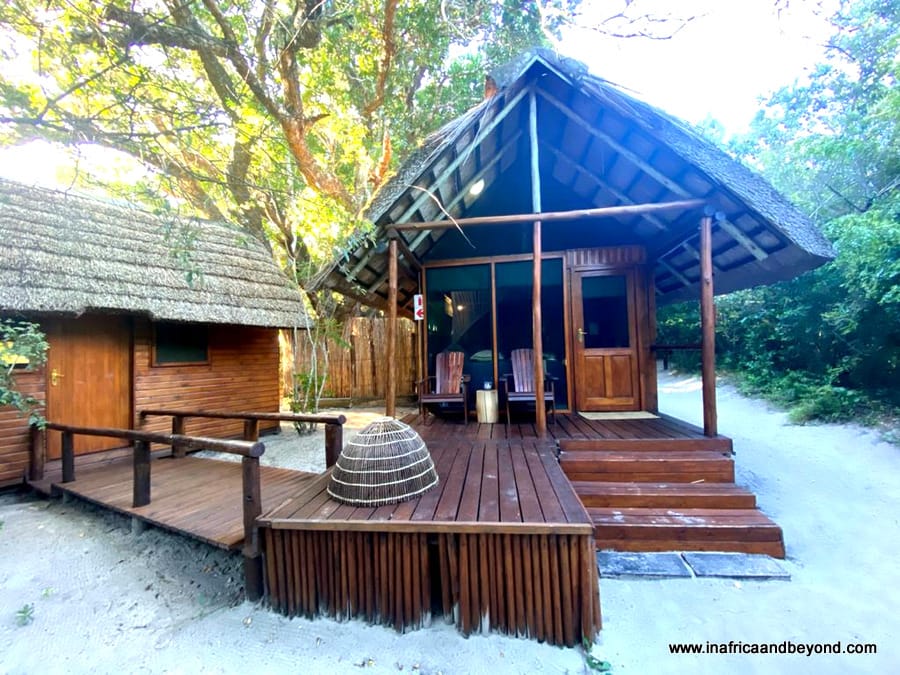 Kosi Forest Lodge -an enchanted forest hideaway 3 Kosi Forest Lodge