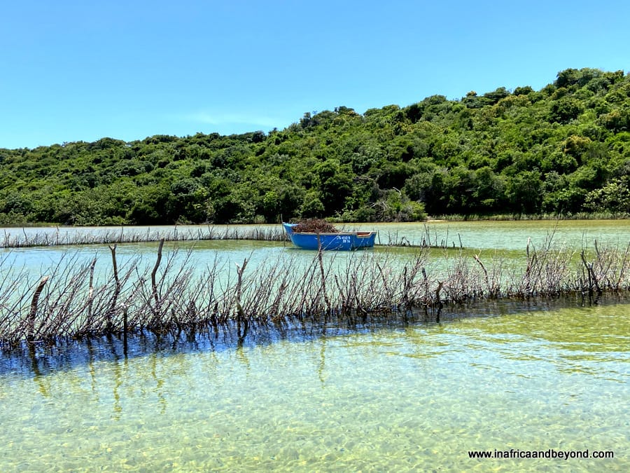 Kosi Forest Lodge -an enchanted forest hideaway 1 Kosi Bay