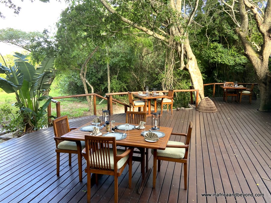 Kosi Forest Lodge -an enchanted forest hideaway 6 Kosi Forest Lodge