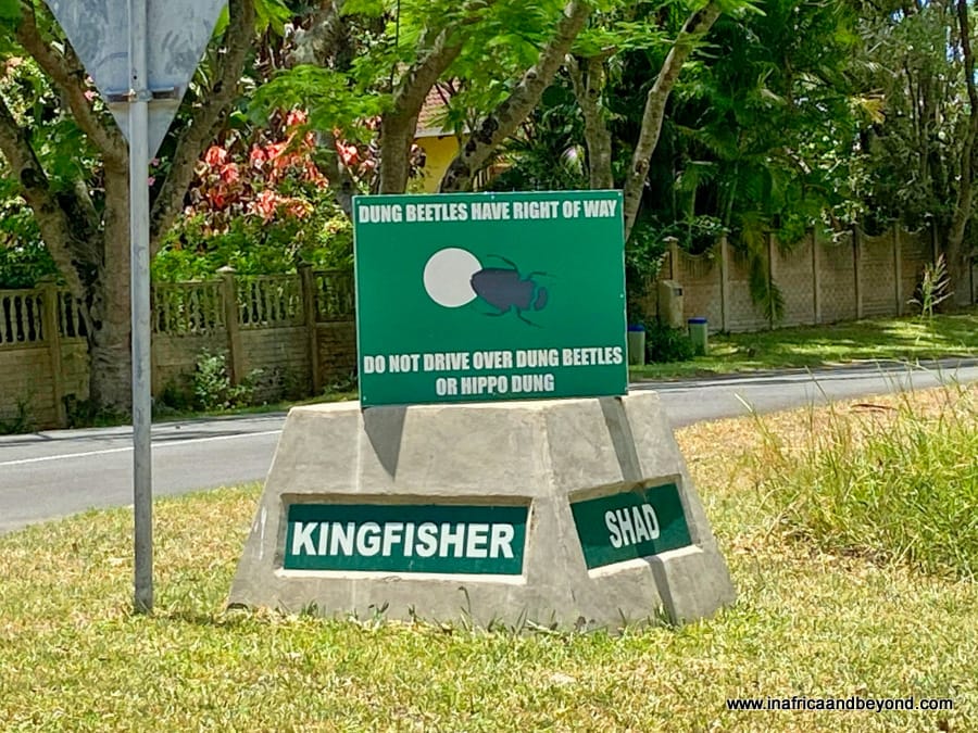 11 Best Things to do in St Lucia, South Africa 9 St Lucia South Africa