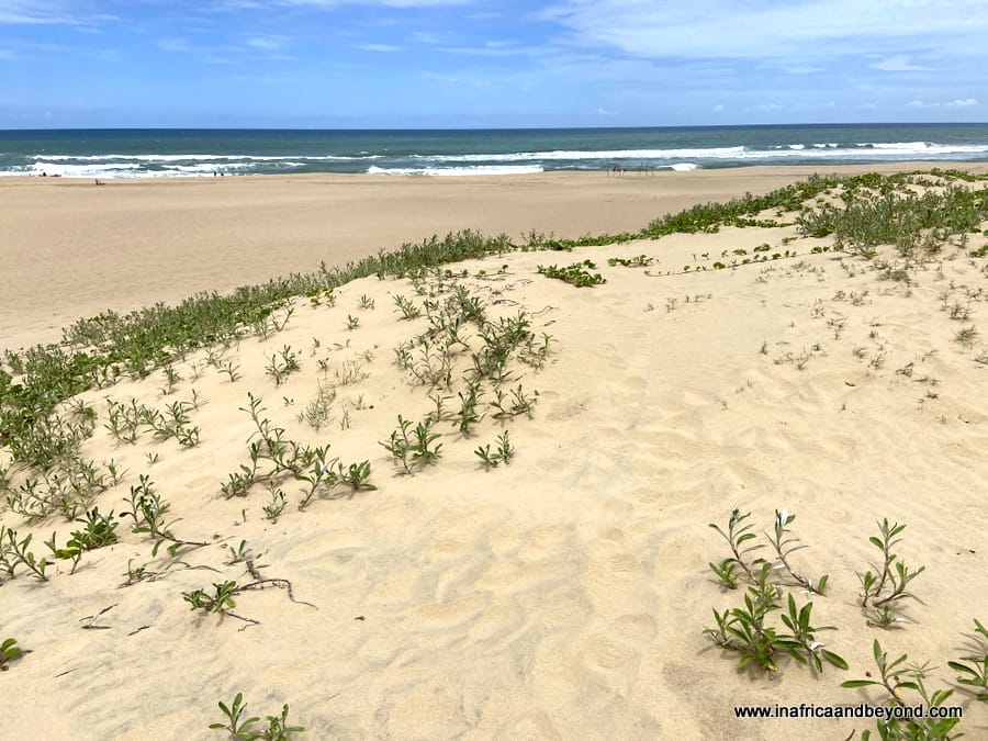 11 Best Things to do in St Lucia, South Africa 4 St Lucia South Africa